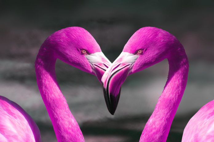6-love-quotes Top 10 Most Inspirational Love Quotes