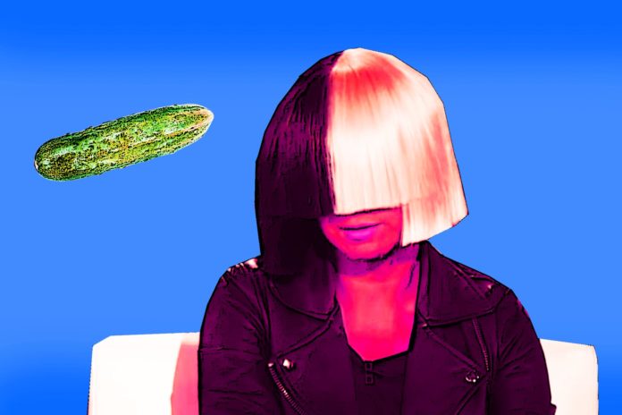 Sia: 19 Shocking Facts You Didn’t Know Sia Shocking Facts about Sia Sia: 19 Shocking Facts You Didn’t Know