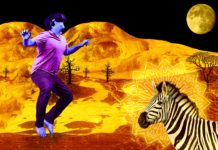 VR and LSD: 5 Things You Didn't Know