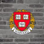 Top 5 Reasons Why You Should Not Study in Harvard or Stanford