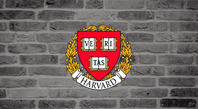 Top 5 Reasons Why You Should Not Study in Harvard or Stanford