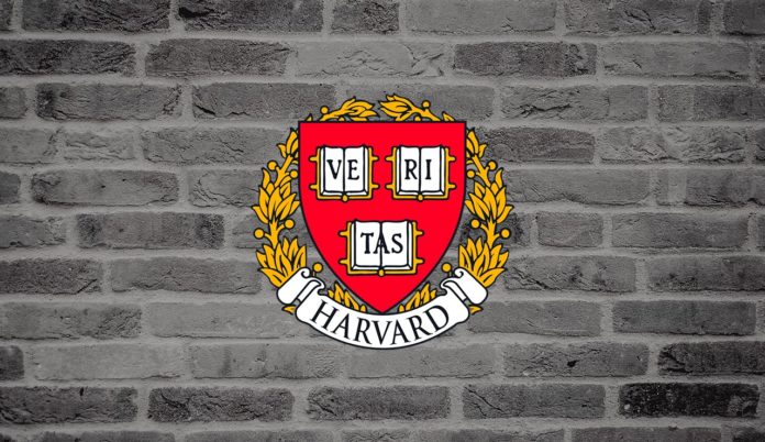 Top 5 Reasons Why You Should Not Study in Harvard or Stanford