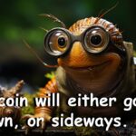 Crypto Meme 1: Bitcoin will either go up, down, or sideways